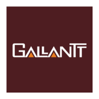 Gallantt Ispat logo